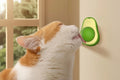 Catnip Minty Avocado Ball Toy