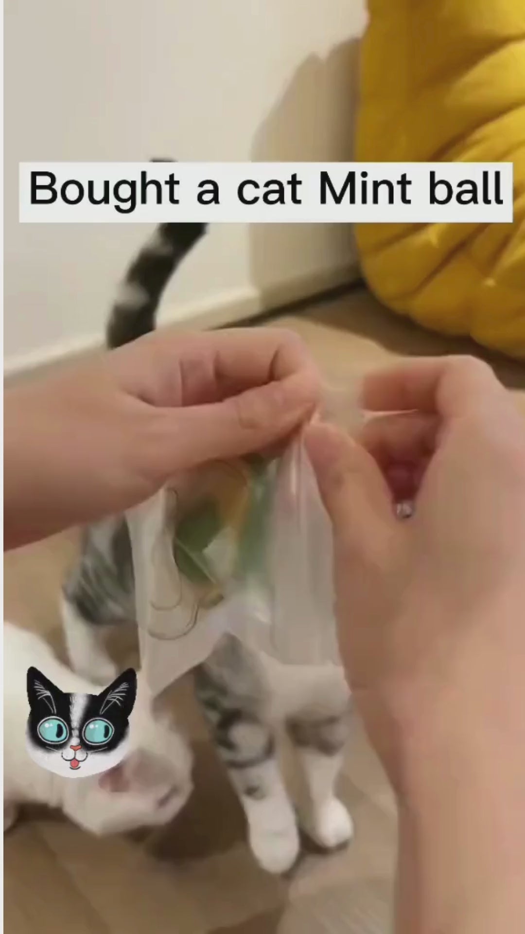 Catnip Minty Avocado Ball Toy