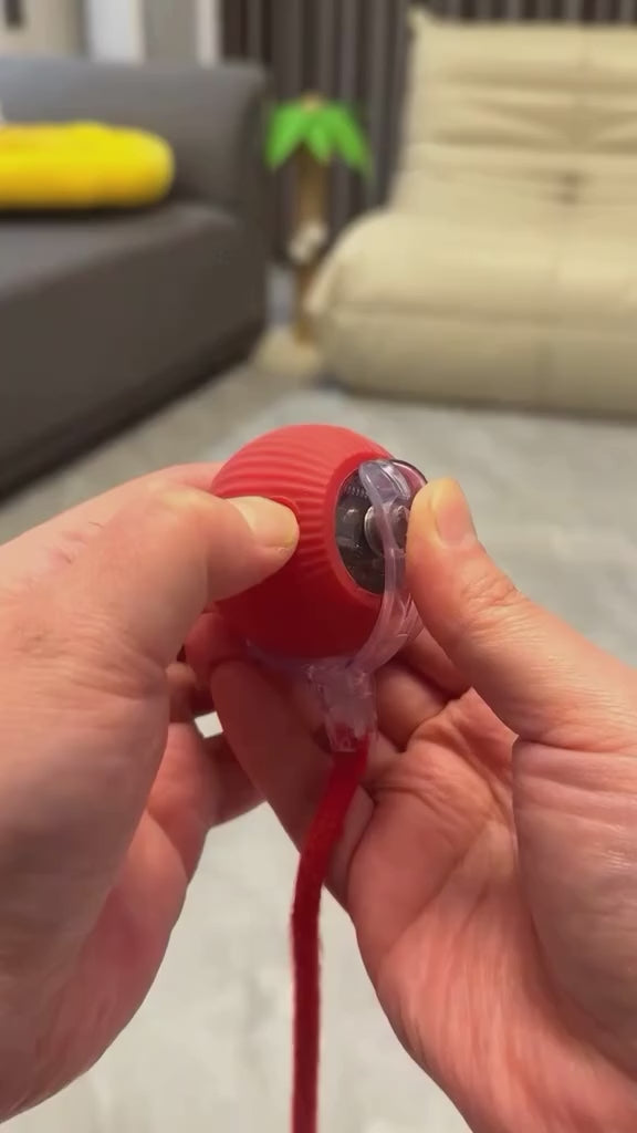 Viral Rolling Ball,Interactive Cat Ball Toy